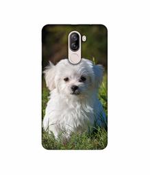 Amazon Brand - Solimo Designer White Dog UV Printed Soft Back Case Mobile Cover for iVooMi i1