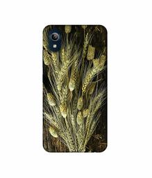 Amazon Brand - Solimo Designer Wheat Plants 3D Printed Hard Back Case Mobile Cover for Vivo Y91i