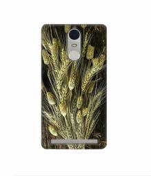 Amazon Brand - Solimo Designer Wheat Plants 3D Printed Hard Back Case Mobile Cover for Lenovo K5 Note