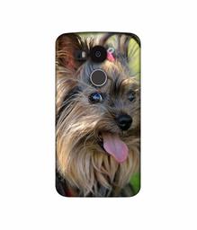 Amazon Brand - Solimo Designer Hairy Puppy 3D Printed Hard Back Case Mobile Cover for LG Nexus 5X