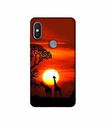 Amazon Brand - Solimo Designer Sunshade UV Printed Soft Back Case Mobile Cover for Mi Redmi Y2