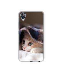 Amazon Brand - Solimo Designer Sleepy Kitten UV Printed Soft Back Case Mobile Cover for Vivo Y91i