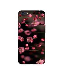 Amazon Brand - Solimo Designer Pink Flowers 3D Printed Hard Back Case Mobile Cover for Oppo A71