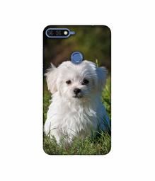 Amazon Brand - Solimo Designer White Dog 3D Printed Hard Back Case Mobile Cover for Huawei Honor 7A