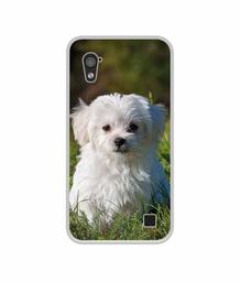 Amazon Brand - Solimo Designer White Dog UV Printed Soft Back Case Mobile Cover for Infocus M370i