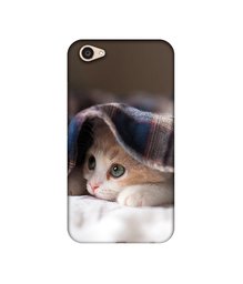 Amazon Brand - Solimo Designer Sleepy Kitten UV Printed Soft Back Case Mobile Cover for Vivo V5 Plus