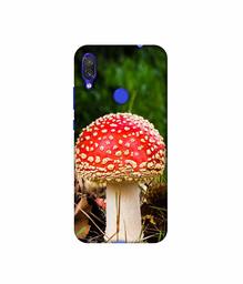 Amazon Brand - Solimo Designer Red Mushroom 3D Printed Hard Back Case Mobile Cover for Xiaomi Redmi Note 7 Pro