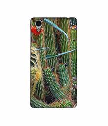 Amazon Brand - Solimo Designer Cactus 3D Printed Hard Back Case Mobile Cover for Vivo Y51L