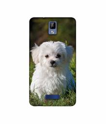 Amazon Brand - Solimo Designer White Dog UV Printed Soft Back Case Mobile Cover for Gionee P7 Max