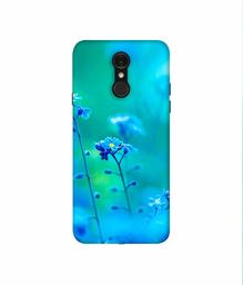 Amazon Brand - Solimo Designer Blue Flower 3D Printed Hard Back Case Mobile Cover for LG Q7