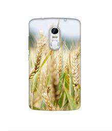 Amazon Brand - Solimo Designer Wheat Plant 3D Printed Hard Back Case Mobile Cover for Lenovo Vibe X3