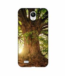 Amazon Brand - Solimo Designer Tree Trunk 3D Printed Hard Back Case Mobile Cover for Vivo Y21L