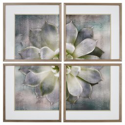 Amazon Brand – Stone & Beam Classic 4-Piece Succulent Print, Wood-Tone Frame, 20