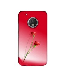 Amazon Brand - Solimo Designer Red Roses UV Printed Soft Back Case Mobile Cover for Motorola Moto G5 Plus