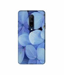 Amazon Brand - Solimo Designer Light Blue Flower Photography 3D Printed Hard Back Case Mobile Cover for OnePlus 7 Pro