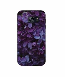 Amazon Brand - Solimo Designer Purple Flowers 3D Printed Hard Back Case Mobile Cover for Samsung Galaxy S7 Edge