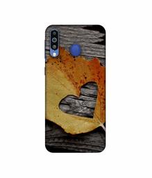 Amazon Brand - Solimo Designer Leaf with Heart Cut 3D Printed Hard Back Case Mobile Cover for Samsung Galaxy M21