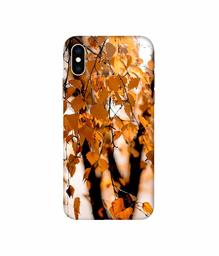 Amazon Brand - Solimo Designer Autumn Photography 3D Printed Hard Back Case Mobile Cover for Apple iPhone Xs Max