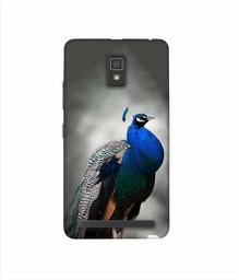 Amazon Brand - Solimo Designer Peacock 3D Printed Hard Back Case Mobile Cover for Lenovo A6600