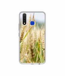 Amazon Brand - Solimo Designer Wheat Plant UV Printed Soft Back Case Mobile Cover for Vivo U20