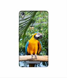 Amazon Brand - Solimo Designer Macaw Bird 3D Printed Hard Back Case Mobile Cover for Micromax Canvas Juice 3Plus Q394