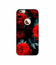 Amazon Brand - Solimo Designer Rose Photography 3D Printed Hard Back Case Mobile Cover for Apple iPhone 6 / 6S (Logo Cut)