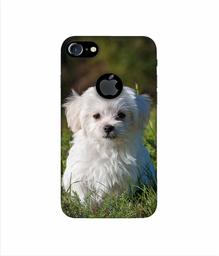 Amazon Brand - Solimo Designer White Dog 3D Printed Hard Back Case Mobile Cover for Apple iPhone 7 (with Logo Cut)