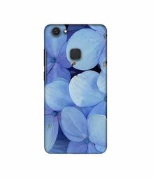 Amazon Brand - Solimo Designer Light Blue Flower Photography 3D Printed Hard Back Case Mobile Cover for Vivo V7 Plus