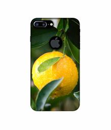 Amazon Brand - Solimo Designer Lemon 3D Printed Hard Back Case Mobile Cover for Apple iPhone 7 Plus (Logo Cut)