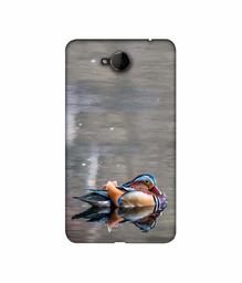 Amazon Brand - Solimo Designer Duck 3D Printed Hard Back Case Mobile Cover for Microsoft Lumia 650