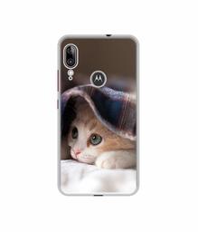 Amazon Brand - Solimo Designer Sleepy Kitten UV Printed Soft Back Case Mobile Cover for Motorola Moto E6s