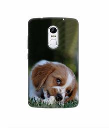 Amazon Brand - Solimo Designer Cute Puppy 3D Printed Hard Back Case Mobile Cover for Lenovo Vibe X3