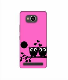 Amazon Brand - Solimo Designer Love Birds Vector 3D Printed Hard Back Case Mobile Cover for Lenovo A7700