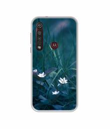 Amazon Brand - Solimo Designer White Flower UV Printed Soft Back Case Mobile Cover for Motorola Moto G8 Plus