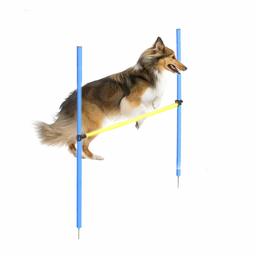 Eono door Amazon - Agility Oefening Training Equipment Hurdle Bar voor huisdieren, honden, Outdoor Games