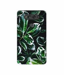 Amazon Brand - Solimo Designer Leaf Imperation 3D Printed Hard Back Case Mobile Cover for LG V20