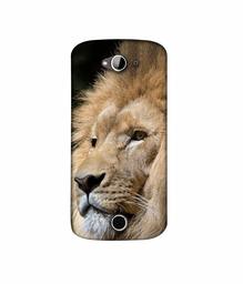 Amazon Brand - Solimo Designer Lion 3D Printed Hard Back Case Mobile Cover for Acer Liquid Z530