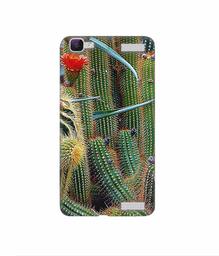 Amazon Brand - Solimo Designer Cactus 3D Printed Hard Back Case Mobile Cover for Vivo V1 Max