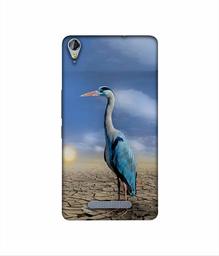 Amazon Brand - Solimo Designer Bagula 3D Printed Hard Back Case Mobile Cover for Micromax Canvas Juice 3Plus Q394