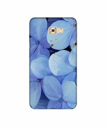 Amazon Brand - Solimo Designer Light Blue Flower Photography 3D Printed Hard Back Case Mobile Cover for Samsung Galaxy C7 Pro