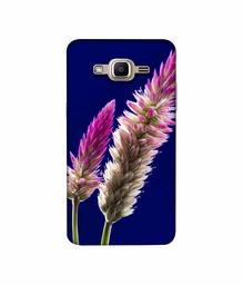 Amazon Brand - Solimo Designer Wheat Flower 3D Printed Hard Back Case Mobile Cover for Samsung Galaxy J2 Prime