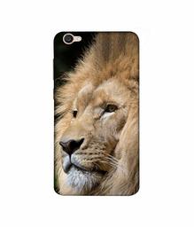 Amazon Brand - Solimo Designer Lion 3D Printed Hard Back Case Mobile Cover for Vivo V5