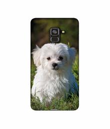 Amazon Brand - Solimo Designer White Dog 3D Printed Hard Back Case Mobile Cover for Samsung Galaxy A8 Plus