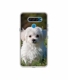 Amazon Brand - Solimo Designer White Dog UV Printed Soft Back Case Mobile Cover for LG Q60