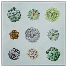 Amazon Brand – Rivet Six Succulent Print in Birch Floater Frame Wall Art, 36