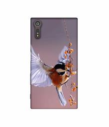 Amazon Brand - Solimo Designer Bird 3D Printed Hard Back Case Mobile Cover for Sony Xperia XZ Dual