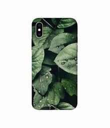 Amazon Brand - Solimo Designer Leafs 3D Printed Hard Back Case Mobile Cover for Apple iPhone Xs Max