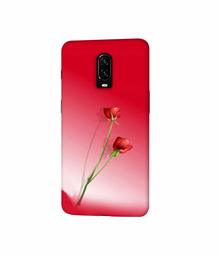 Amazon Brand - Solimo Designer Red Roses 3D Printed Hard Back Case Mobile Cover for OnePlus 6T