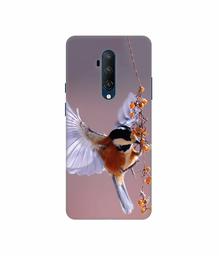 Amazon Brand - Solimo Designer Bird 3D Printed Hard Back Case Mobile Cover for OnePlus 7T Pro