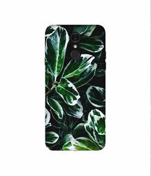 Amazon Brand - Solimo Designer Leaf Imperation 3D Printed Hard Back Case Mobile Cover for LG Q7